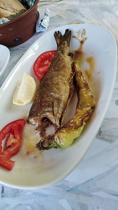 Fotoğraf 35