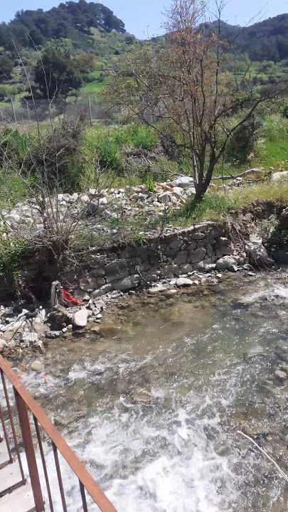 Fotoğraf 30