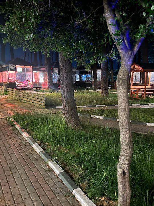 Fotoğraf 30