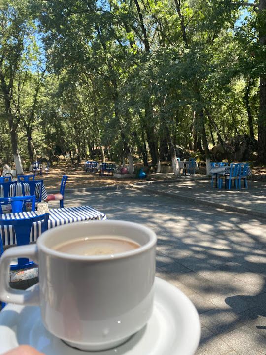 Fotoğraf 19