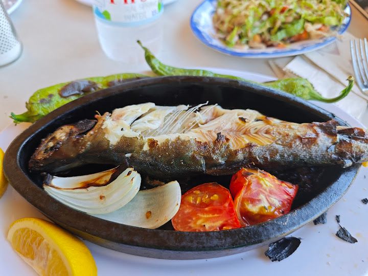 Fotoğraf 9