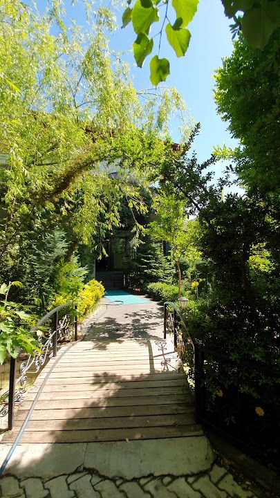 Fotoğraf 31