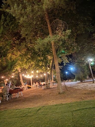 Yorum fotoğrafı 8