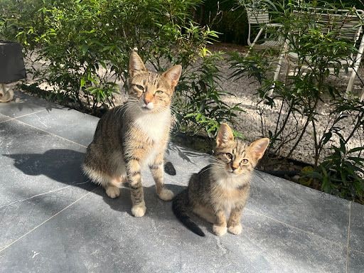 Fotoğraf 19