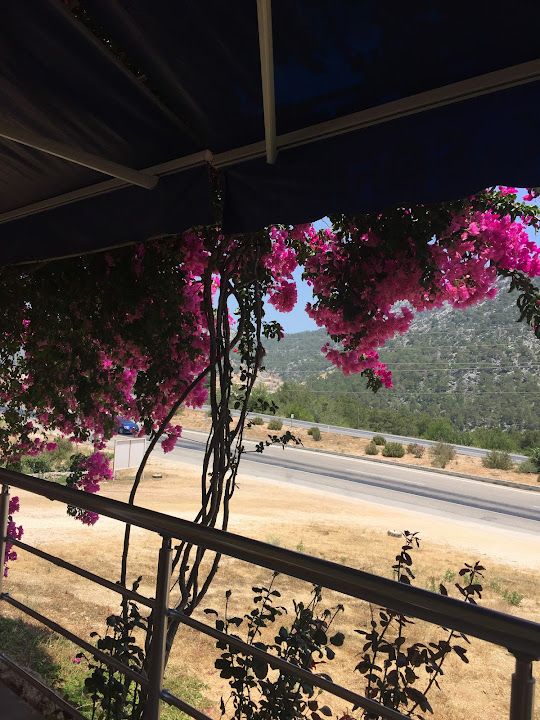 Yorum fotoğrafı 4