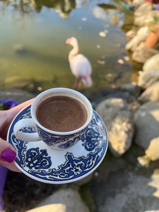 Fotoğraf 35