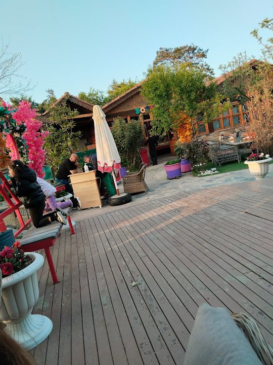 Fotoğraf 73