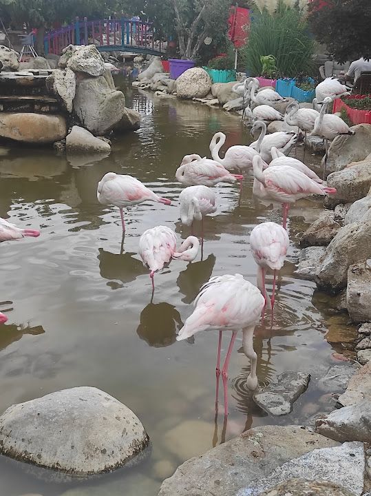 Fotoğraf 57
