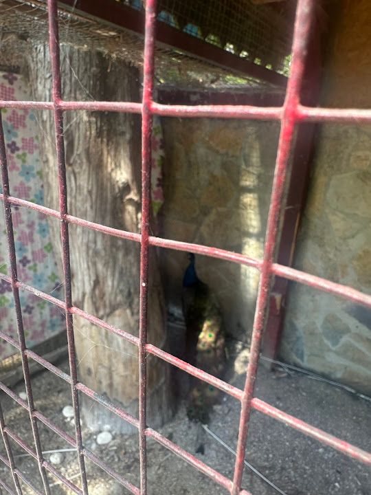 Fotoğraf 62