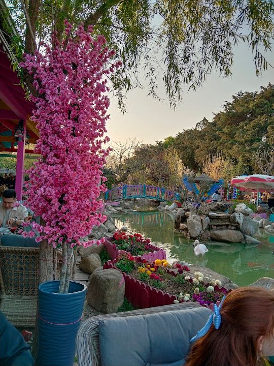 Fotoğraf 75