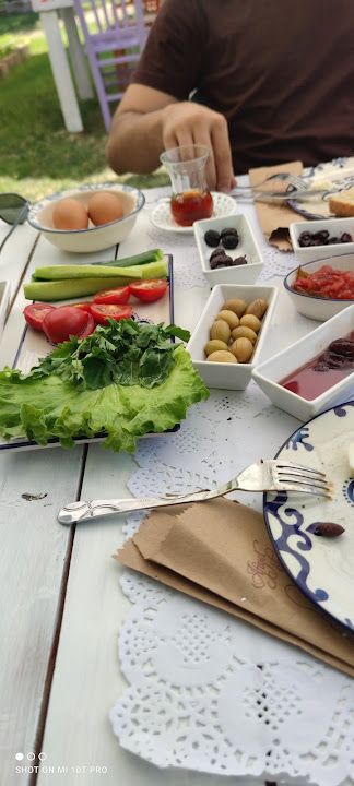 Fotoğraf 41