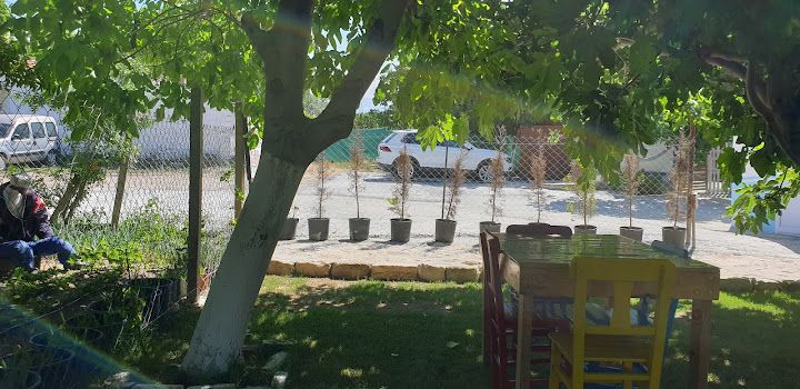 Fotoğraf 56