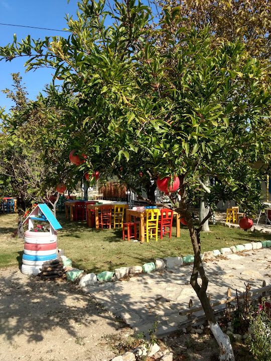 Fotoğraf 16