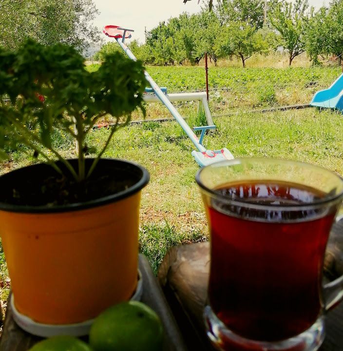 Fotoğraf 34