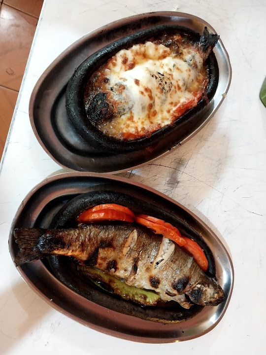 Fotoğraf 12