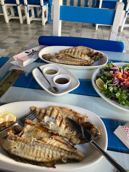 Fotoğraf 24