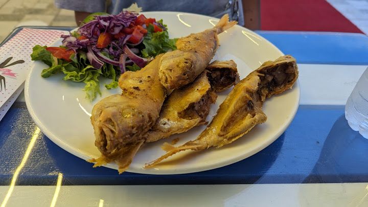 Fotoğraf 17