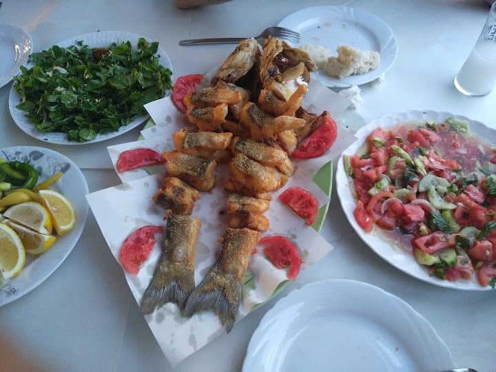 Fotoğraf 12
