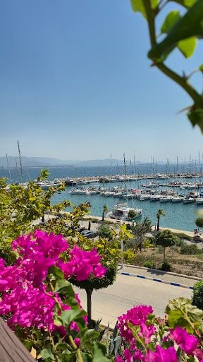 Fotoğraf 19