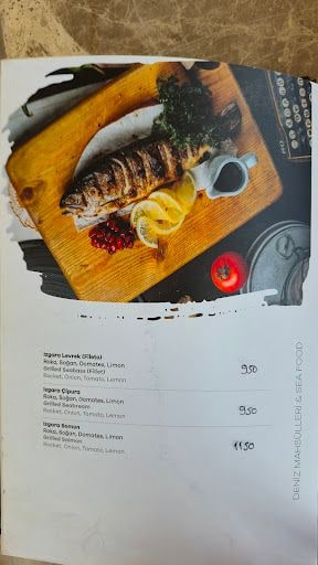 Fotoğraf 24