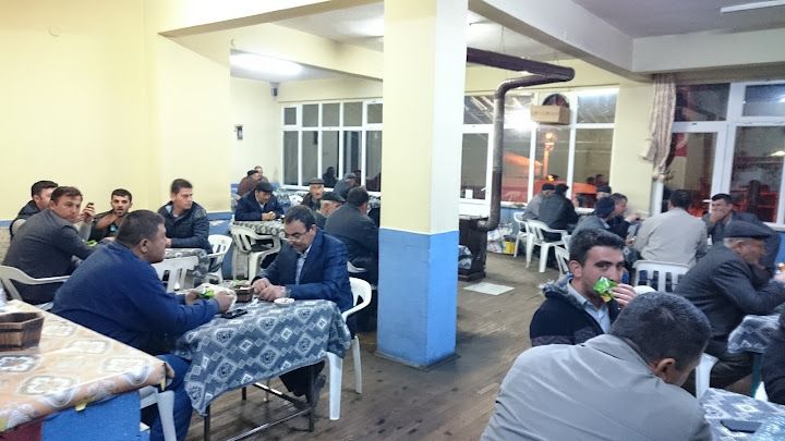 Turan Gavesi
