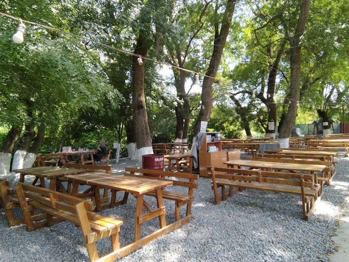 Fotoğraf 31