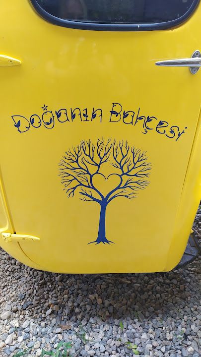 Fotoğraf 13