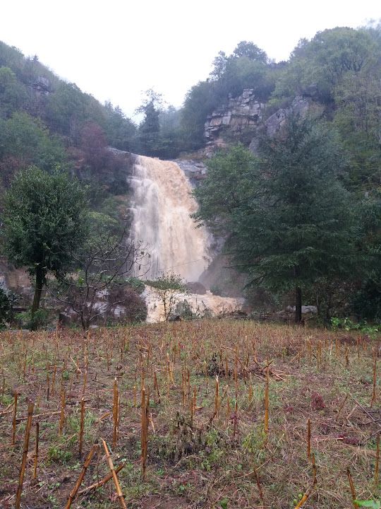 Şelalepark Çay-28