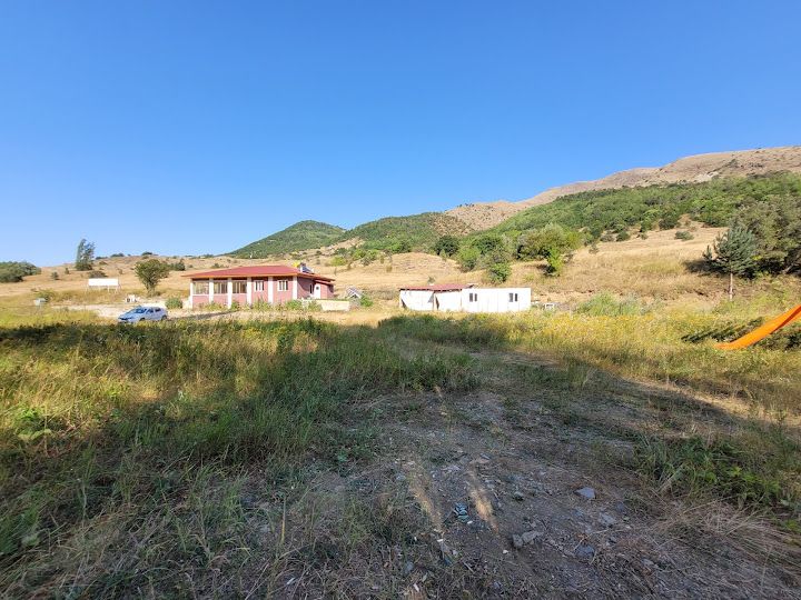 Dogansar Alabalık