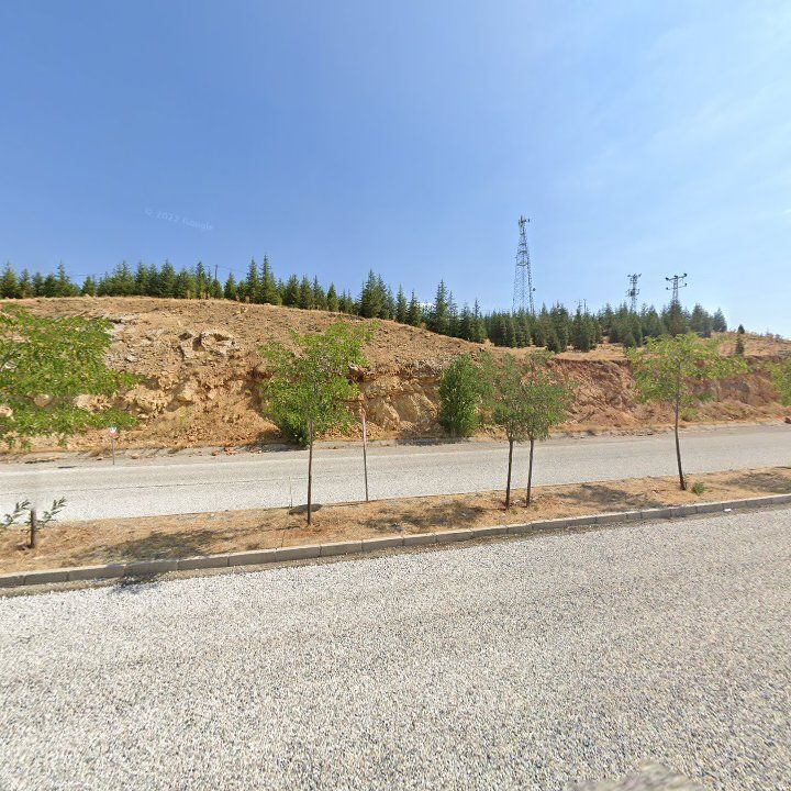 Fotoğraf 13