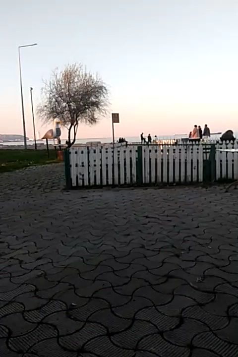 Fotoğraf 12