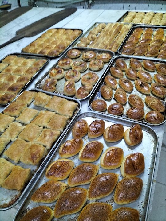 Fotoğraf 14