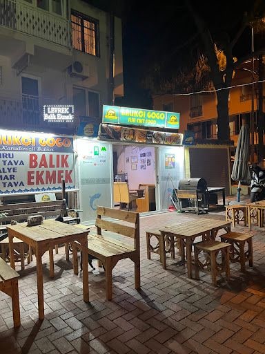Fotoğraf 22