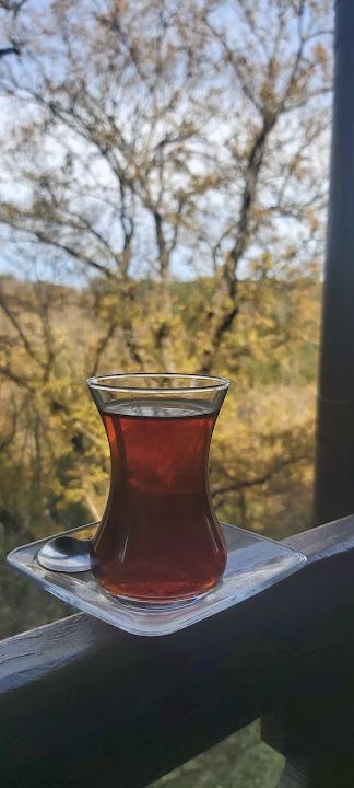 Fotoğraf 41