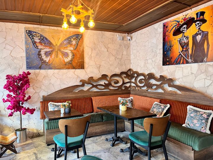 Fotoğraf 16