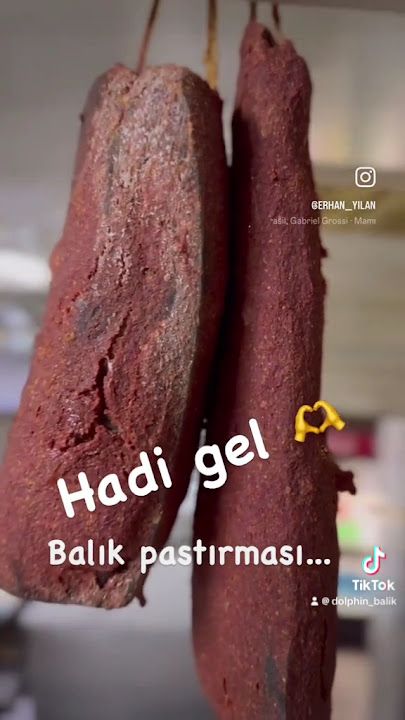 Fotoğraf 30