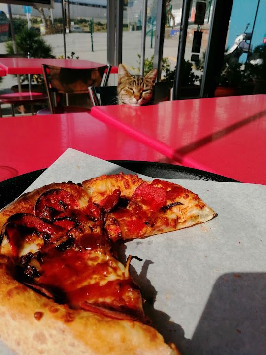 Fotoğraf 16