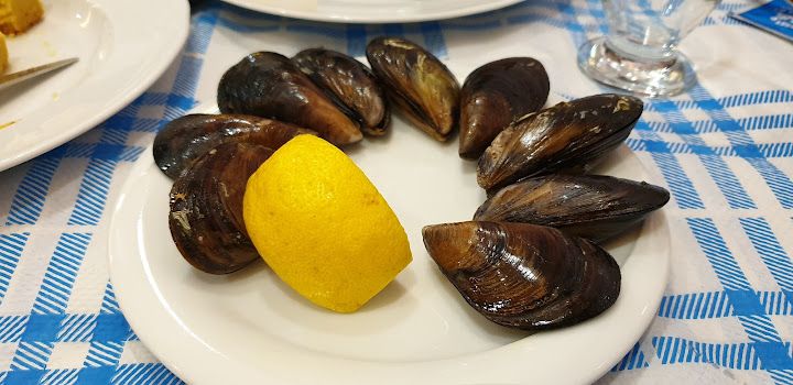 Fotoğraf 15