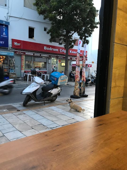 Yorum fotoğrafı 2
