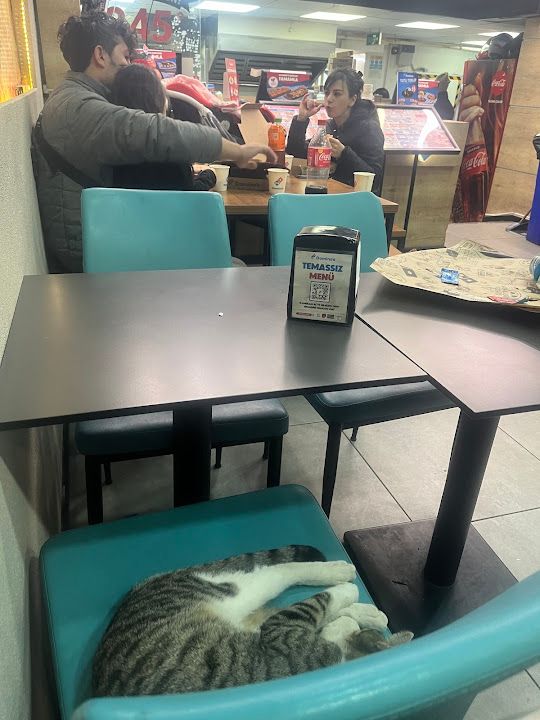 Yorum fotoğrafı 1