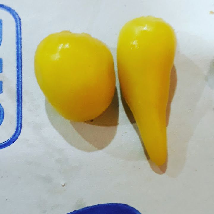 Fotoğraf 25