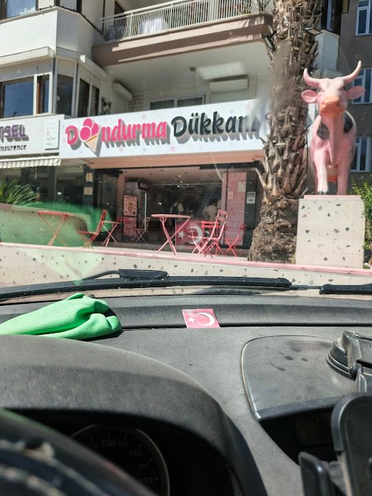 Fotoğraf 33