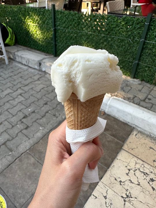 Fotoğraf 41