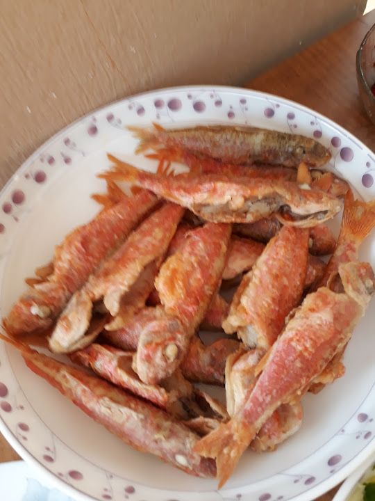 Fotoğraf 17