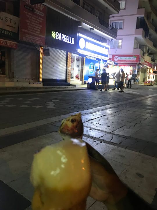 Yorum fotoğrafı 1