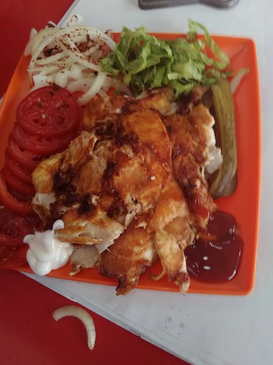 Fotoğraf 13