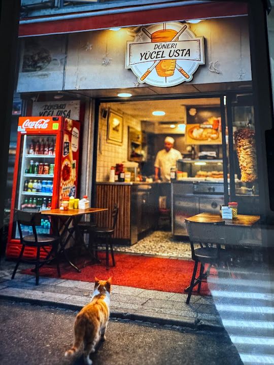 Fotoğraf 19