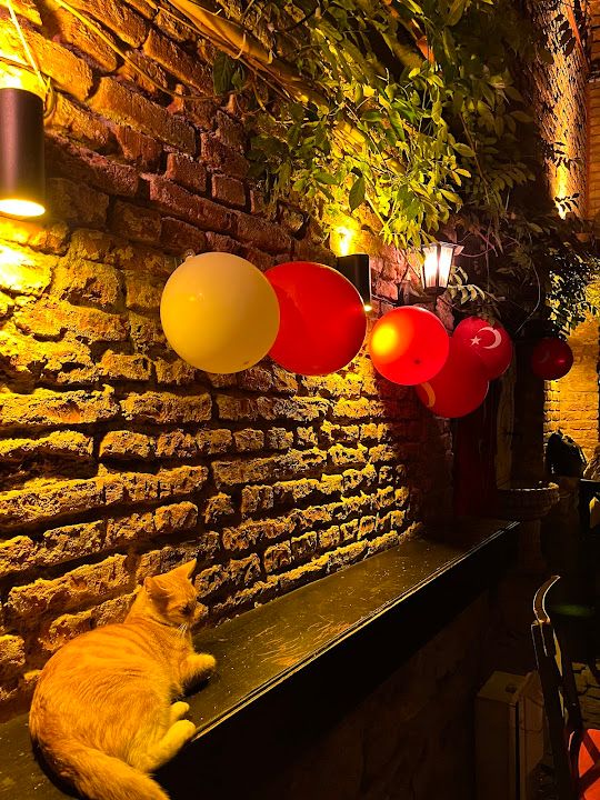Yorum fotoğrafı 2