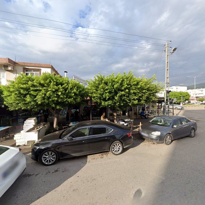 Fotoğraf 3