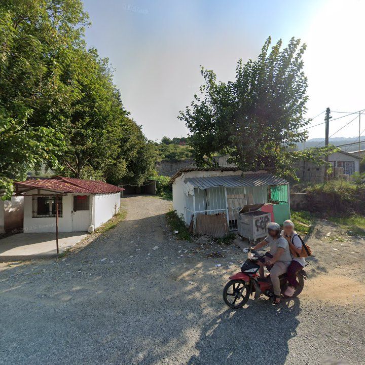 Fotoğraf 3
